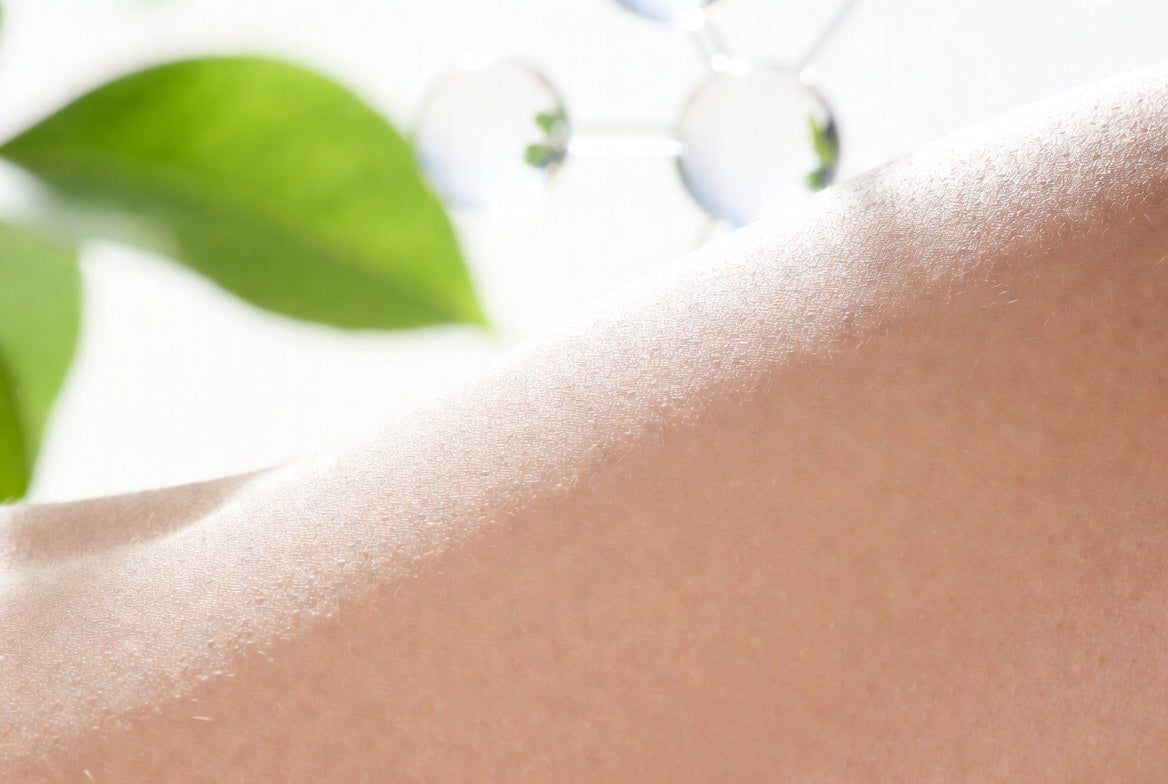 Skin Care Research